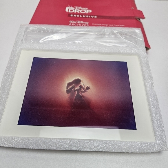 Beauty and the beast artwork acrylic frame - Picture 1 of 8